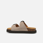SCHOLL-Irving