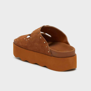 SCHOLL-Heather