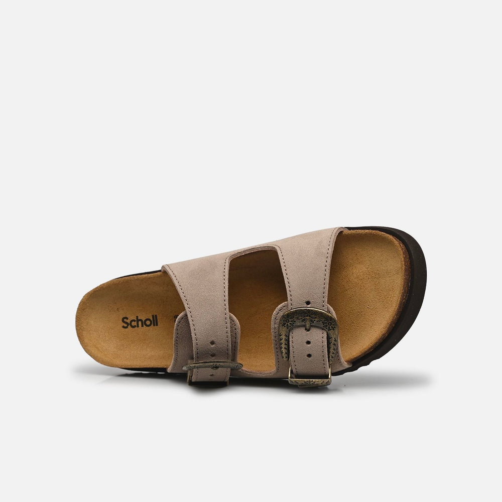SCHOLL-Irving
