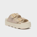 SCHOLL-Heather