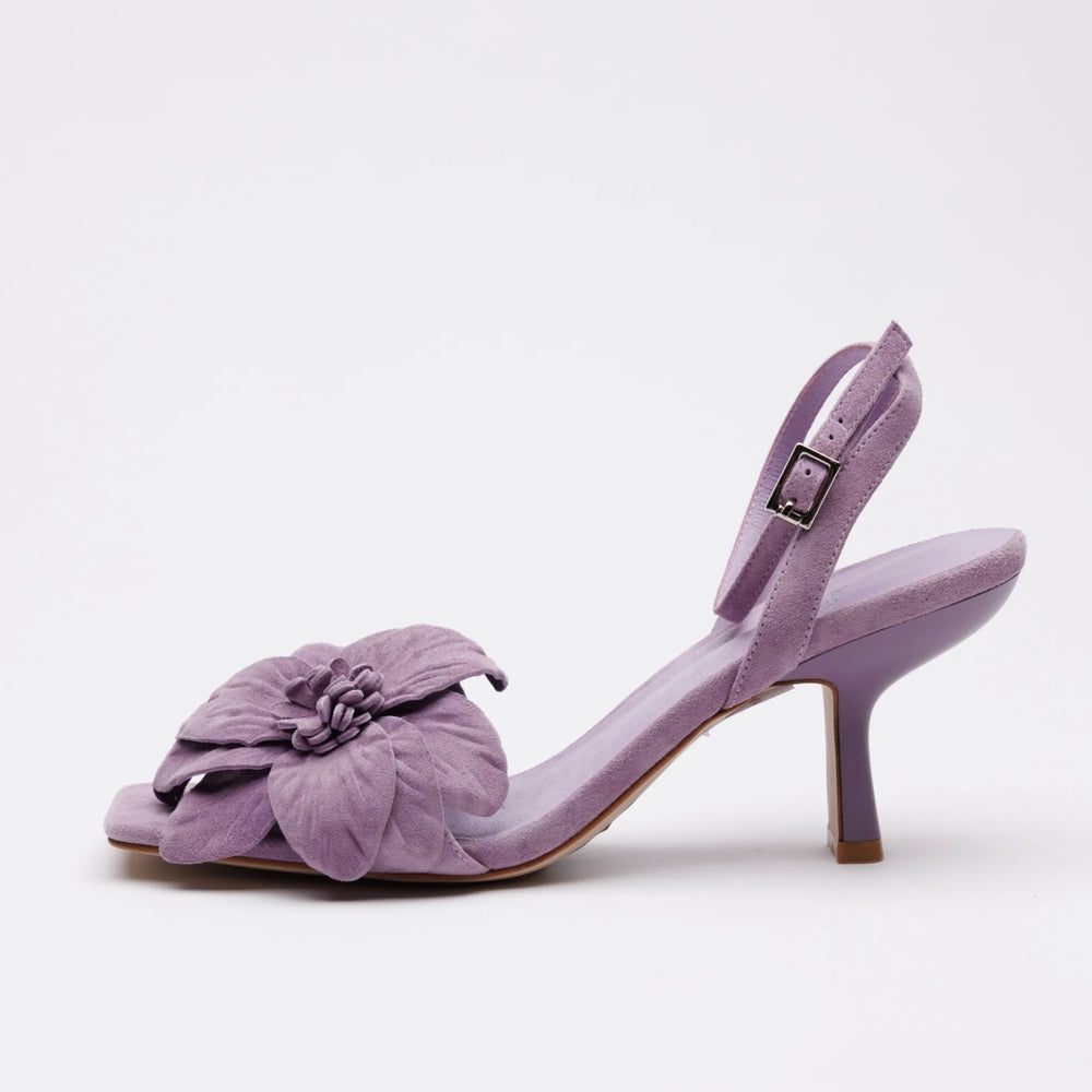 JEFFREY CAMPBELL-HONOLULU